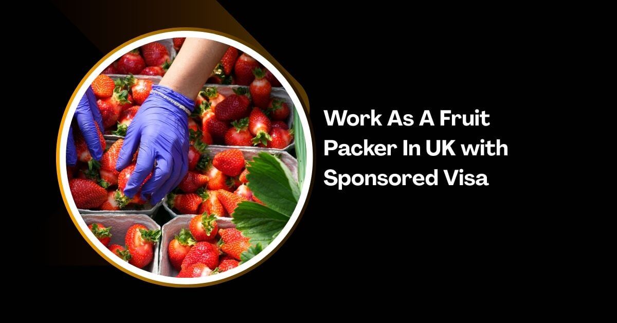 Work As A Fruit Packer In UK with Sponsored Visa