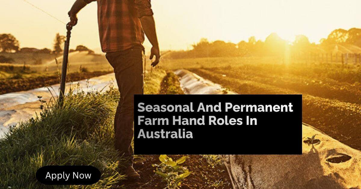 Seasonal And Permanent Farm Hand Roles In Australia
