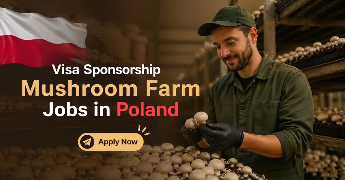 Visa Sponsorship Mushroom Farm Jobs in Poland