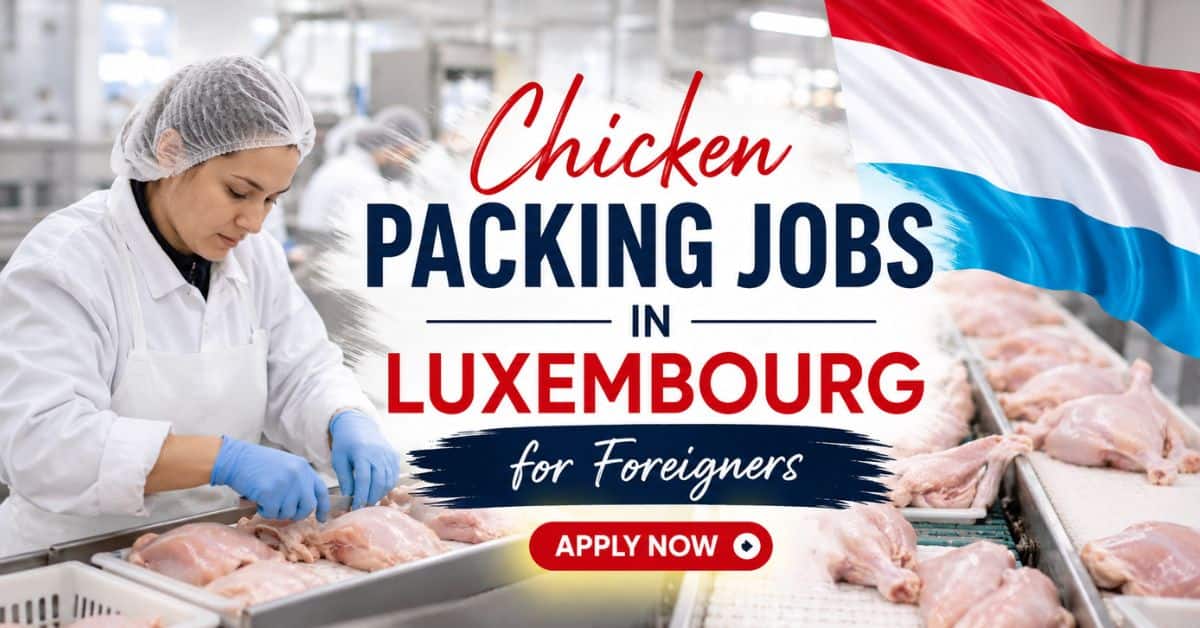 Chicken Packing Jobs in Luxembourg for Foreigners