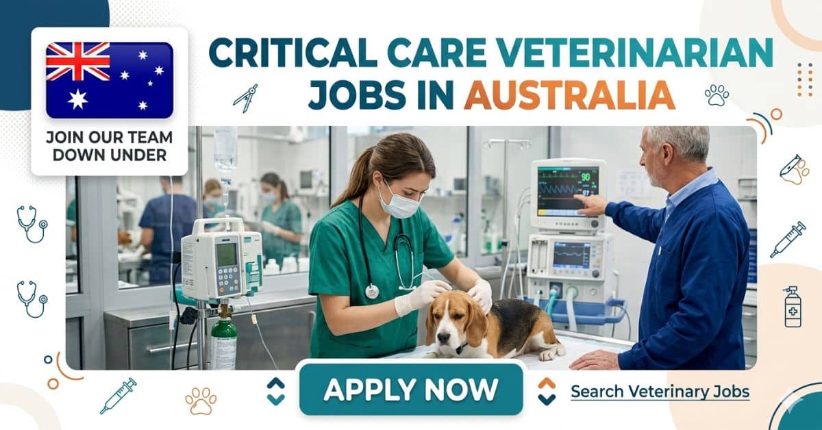 Critical Care Veterinarian Jobs in Australia