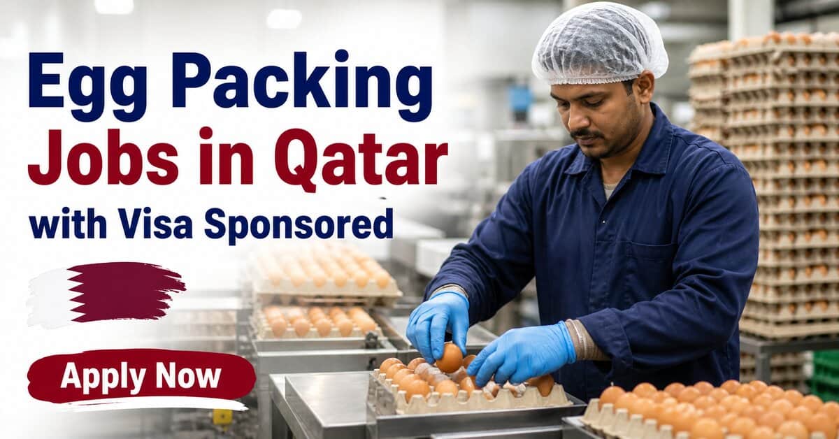 Egg Packing Jobs in Qatar with Visa Sponsored