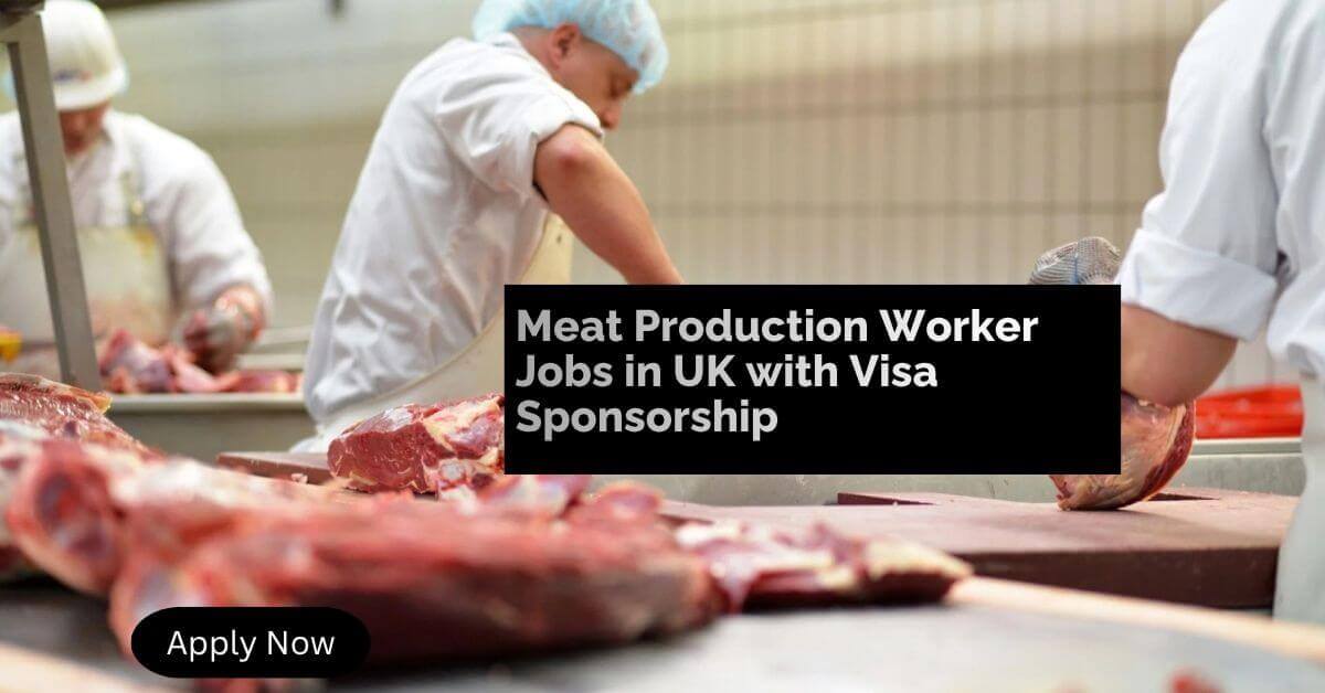 Meat Production Worker Jobs in UK with Visa Sponsorship