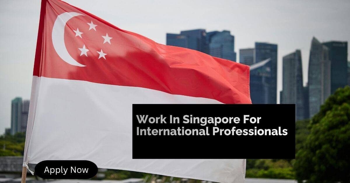 Work In Singapore For International Professionals